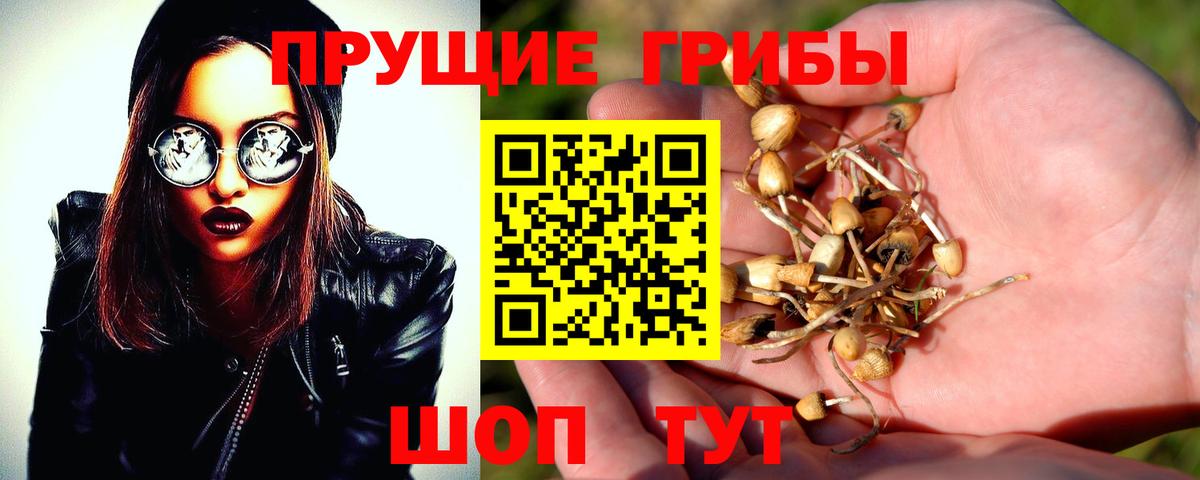 Галлюциногенные грибы Magic Shrooms  Вход с VPN  Сафоново 