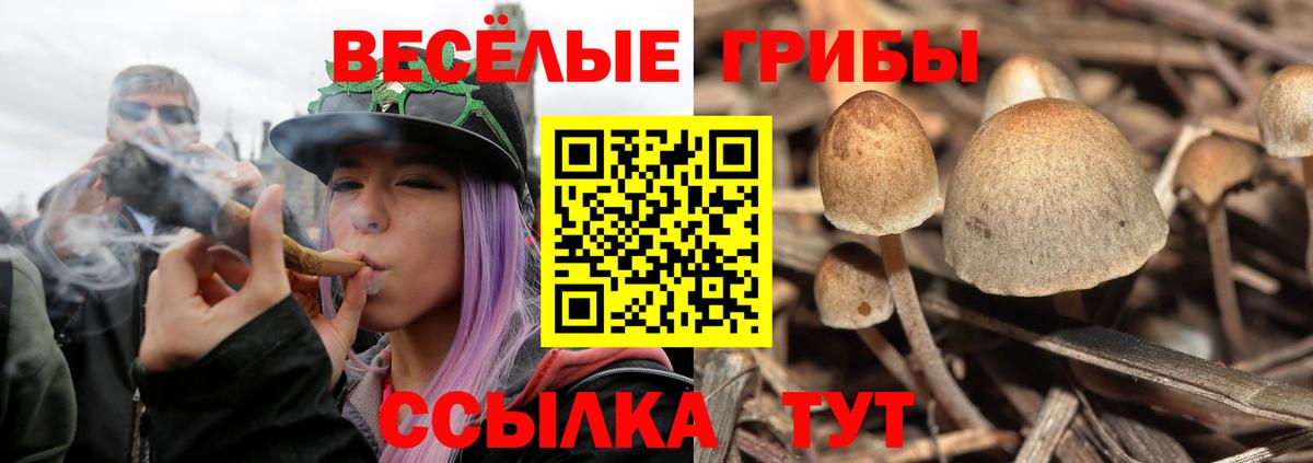 Псилоцибиновые грибы прущие грибы Сафоново